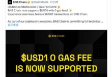 ❌⛽️🦅:WLFI宣示新金融自由时刻,BNB Chain免Gas支持USD1引发关注-WLFI中文网