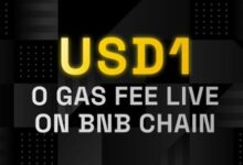 BNB Chain零Gas费转账活动全面启动:USD1成为最大赢家?-WLFI中文网