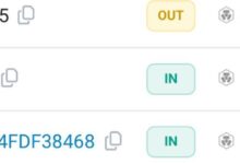 异动!25万枚USD1转入Crypto.com,或为WLFI上线前奏-WLFI中文网