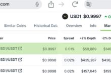 最新消息!HTX现已成为USD1/USDT市场的主要流动性中心-WLFI中文网