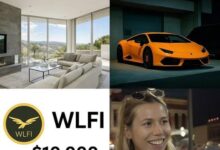 “男人只想要四样东西”:当$WLFI成了梦想清单的一部分-WLFI中文网