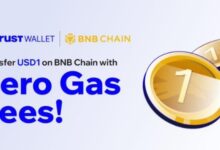USD1开启“零Gas费时代”:Trust Wallet集成Megafuel背后的战略意义-WLFI中文网