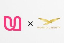 Umy.com接入USD1,从旅行走进Web3时代-WLFI中文网