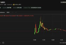 警惕“USD1 meme币”陷阱:链上狂热背后的钱包安全危机-WLFI中文网