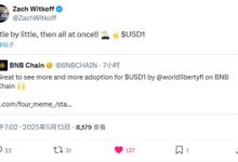 从“点滴增长”到“全面爆发”:USD1在BNB Chain上的加速布局与生态渗透-WLFI中文网