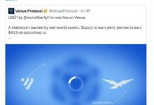 WLFI官方高度肯定!去中心化借贷巨头Venus Protocol宣布全面集成USD1稳定币-WLFI中文网