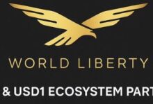 面对质疑,坚守信念:WLFI项目为何仍值得早期投资者期待?-WLFI中文网