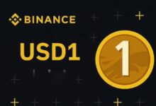 WLFI联合BNB Chain、PancakeSwap、B启动USD1采用与流动性推广活动-WLFI中文网