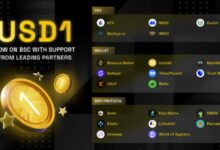 BNB Chain力挺USD1,每日一奶-WLFI中文网