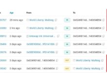 确认了!又一机构以0.1美元买入WLFI,共计4000万美元,谁是最后的赢家?-WLFI中文网