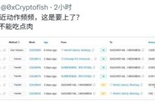$WLFI社区“大鱼”曝光:信仰还是筹码博弈?-WLFI中文网