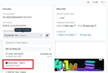 突发!4亿枚WLFI转入Bybit热钱包关联地址,WLFI上线交易快来了!-WLFI中文网