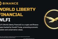 当WLFI上线币安,不要惊讶:这是趋势选择了它-WLFI中文网