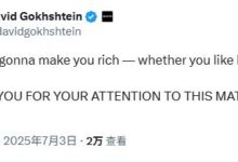 David Gokhshtein重磅发文:“特朗普会让你富有!”,或直指WLFI/USD1-WLFI中文网