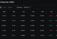 重要里程碑!USD1累计交易量突破300亿美元-WLFI中文网