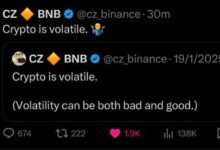CZ再次强调“Crypto is volatile”,$WLFI是否正酝酿大爆发?-WLFI中文网