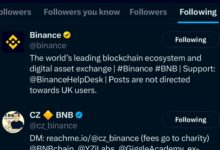 WLFI或将爆发?World Liberty Financial联动Binance与CZ-WLFI中文网