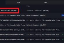 突发!币安热钱包向WLFI官方地址转入9.246枚MATIC,WLFI或将登陆Binance?-WLFI中文网