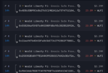 WLFI官方多签钱包转出1.666亿枚WLFI,约2374万美元-WLFI中文网