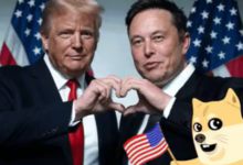 $WLFI是唯一能够开启山寨币热潮的项目-WLFI中文网